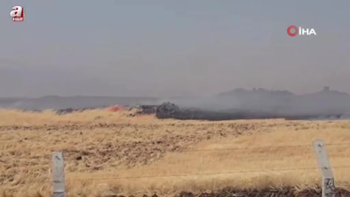 Gaziantep'teki çıkan anız yangını fabrikaları tehdit etti