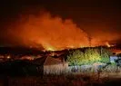 İzmir’de büyük orman yangını