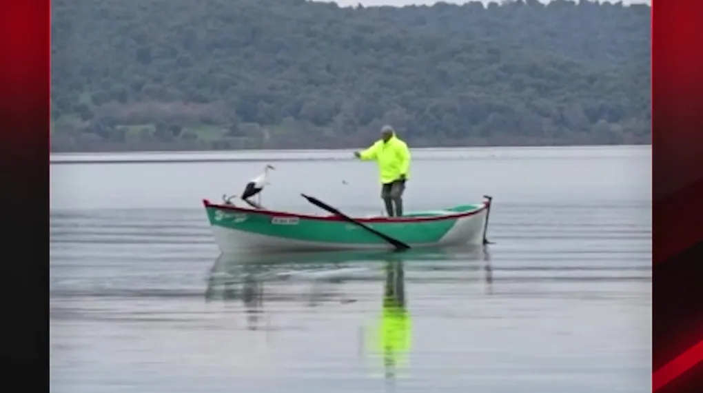 HOŞ GELDİN YAREN LEYLEK