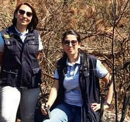 Muğla'daki 3 milyon TL'lik orman vurgununda yeni gelişme! Harekete geçildi - 2