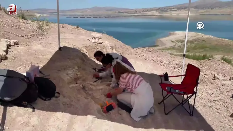 Çobanın keşfettiği fosil alanı 7,7 milyon yıla tarihlendirildi