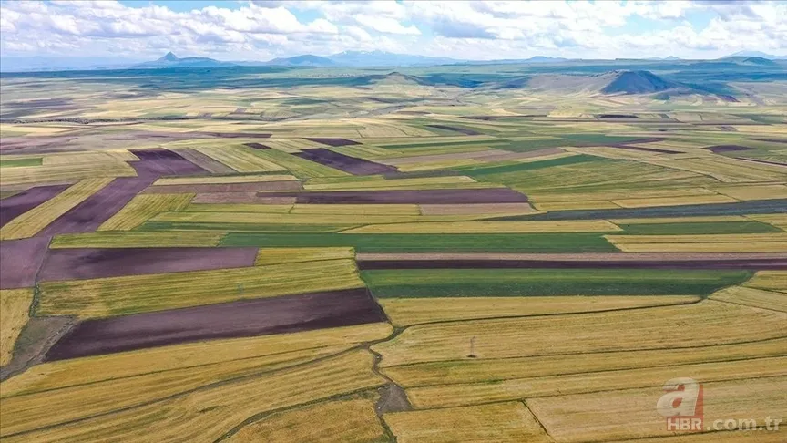 TOKİ 834 arsa satışı ne zaman, hangi illerde olacak? TOKİ arsa satışı ödeme planı 5