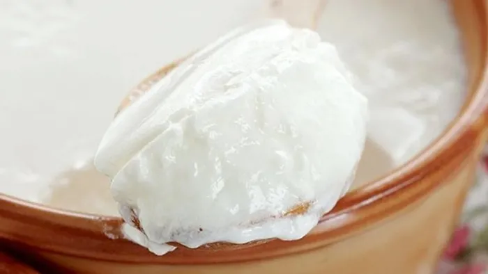 Mayam yok diye üzülmeyin! Yoğurdu taş gibi yapıyor! Sütün içine 15 tane...