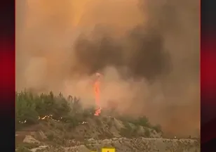 MUĞLA'DA KORKUTAN ORMAN YANGINI