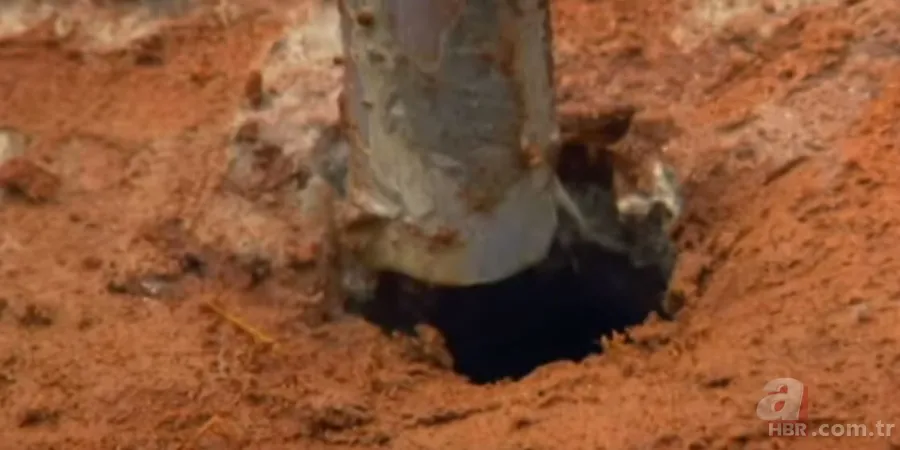 Karınca yuvasından sanat eseri çıktı 🐜 Vahşi doğanın usta mimarları! Otoban, yan yol ve patika bile yapmışlar 3