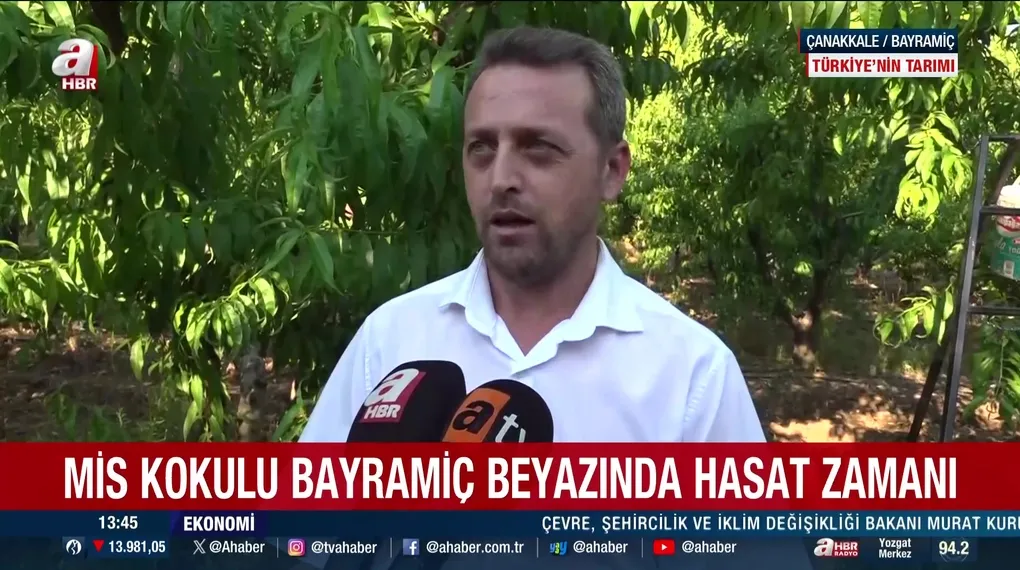 Türkiye'nin bereketli topraklarında üretim