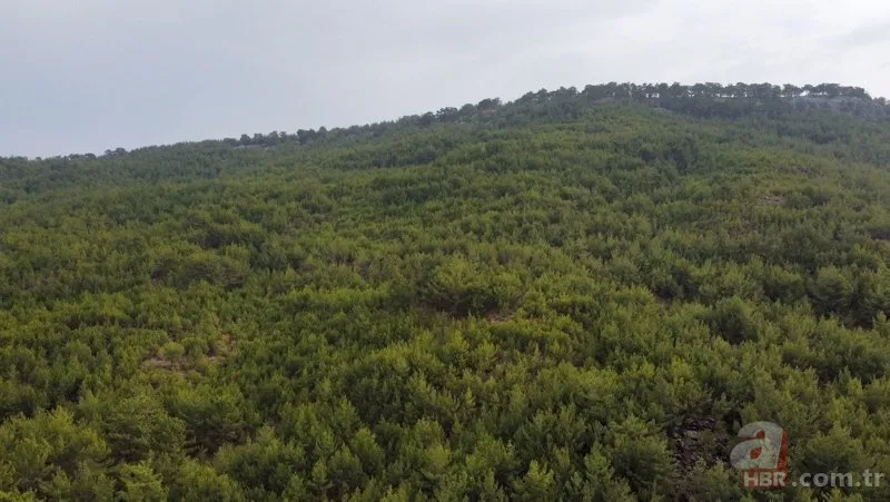 Müslüme’nin ölümünde çarpıcı ayrıntı! Ailesi ekipleri yanlış yönlendirdi! Ters tarafta bulundu 17