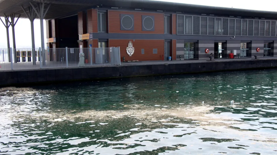 İstanbul'da mide bulandıran görüntü! Karaköy Sahili çöp içinde