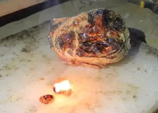 Bayburt'ta tesadüfen keşfedilen kehribar taşı için birçok ülke sıraya girdi