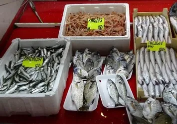 Av yasağı kalktı balıklar tezgahlara dizildi! Çanakkale'de sardalyalar mangal için hazır