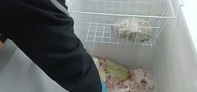Samsun'da dondurucuda silah ele geçirildi