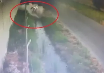 Otomobil sulama kanalına uçtu