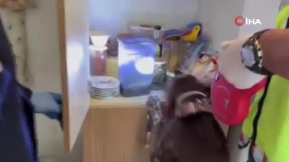 Düzce'de zehir tacirlerine operasyonu!