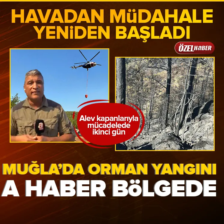 Muğla Menteşede orman yangını 2. gününde