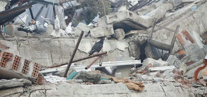 Deprem bölgelerindeki vatandaşlara dikkat! TOKİ'den vatandaşlara dolandırıcılık uyarısı