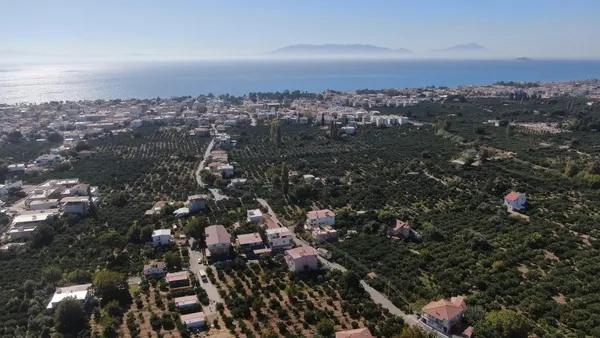 izmirin-topraklarindan-62-ulkeye-sari-altinin-hasat-zamani-geldi-1666767335416.jpg İzmir’in topraklarından 62 ülkeye! Sarı altının hasat zamanı geldi - 2