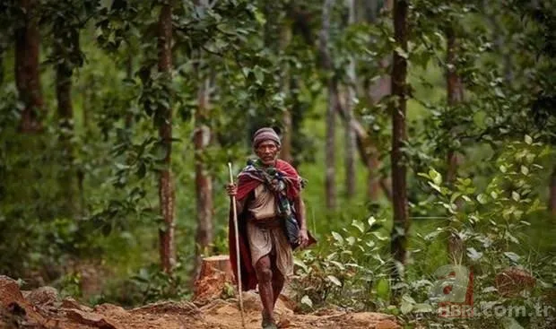 Yaklaşanı öldürüp etiyle besleniyorlar! Uçan cisimlere ok ve mızraklarla saldırdılar 🏹 İşte dünyanın en vahşi kabilesi 24