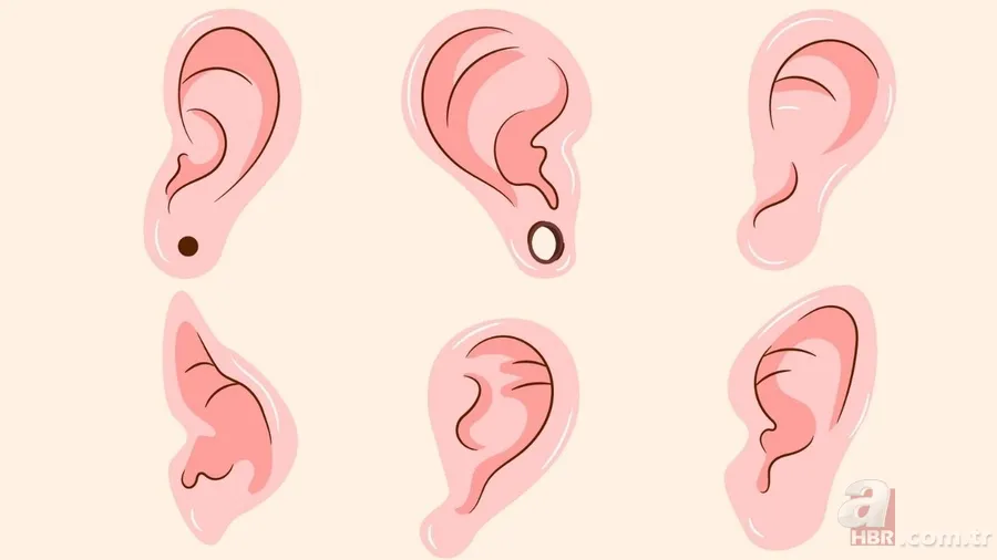 Kişilik analizi: Hangi kulak şekli hangi gizli özellikleri ortaya çıkarıyor? 1
