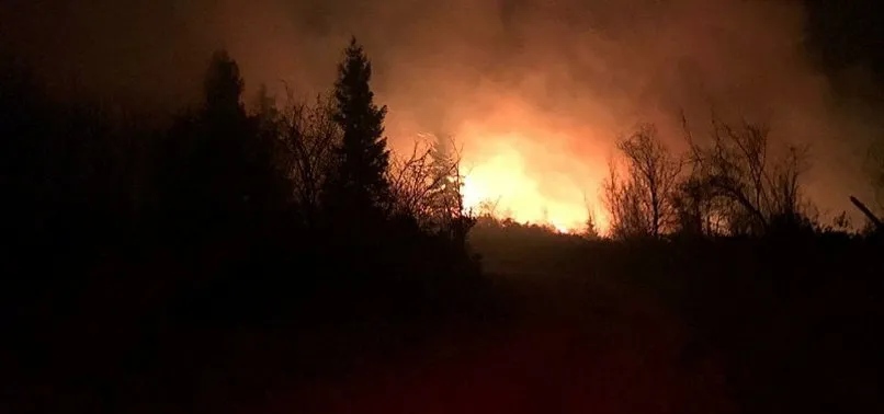 Trabzon'da bir yangın haberi daha | Karadeniz'deki ...