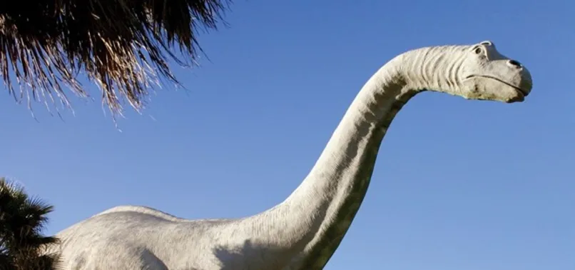 En büyüğü keşfedildi! Boyu 30 metre ağırlığı ise 67 ton