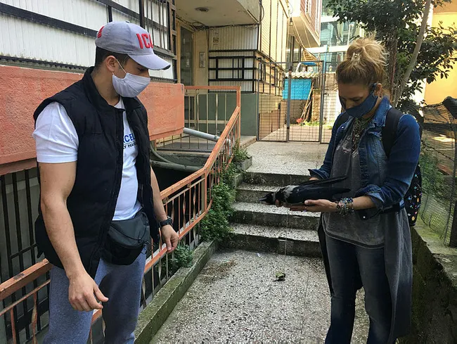 İstanbul’da kargayı boynundan iple astılar! Sosyal medyada tepki yağıyor - 2