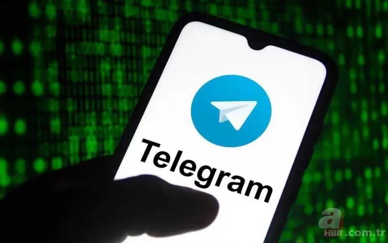Telegram’da suç örgütü kurdular! Milli ve dini değerlere hakaret ettiler | Paylaşımlar kan dondurdu 2