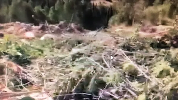 izmirin-chp-ile-sinavi-once-dikiliyi-susuz-birakti-simdi-de-karsiyakayi-copluge-cevirdi-1659425194645.jpg İzmir'in CHP ile sınavı! Önce Dikili'yi susuz bıraktı şimdi de Karşıyaka'yı çöplüğe çevirdi