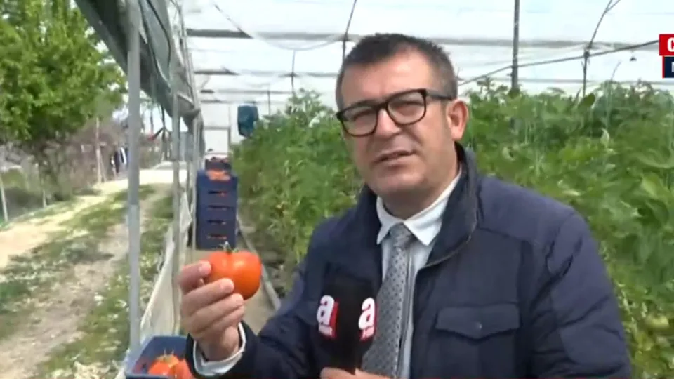 Domatesin kilosu tarlada ne kadar? Halde ne kadar? İstanbul'da manavda kaç lira? A Haber ekipleri fiyatları tek tek görüntüledi