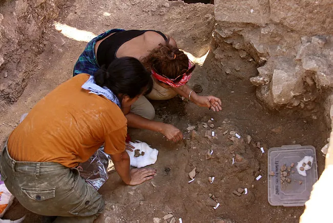antalyada-5-bin-yillik-seramik-parcalari-myranin-tarihini-2-bin-yil-geriye-goturdu-1631712515952.jpg Antalya'da 5 bin yıllık seramik parçaları, Myra'nın tarihini 2 bin yıl geriye götürdü - 1