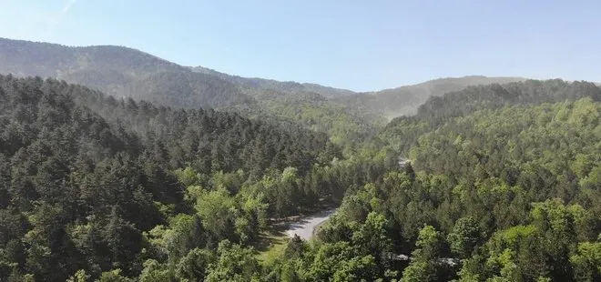 Vali duyurdu! Bursa'da ormanlık alanlara giriş yasaklandı