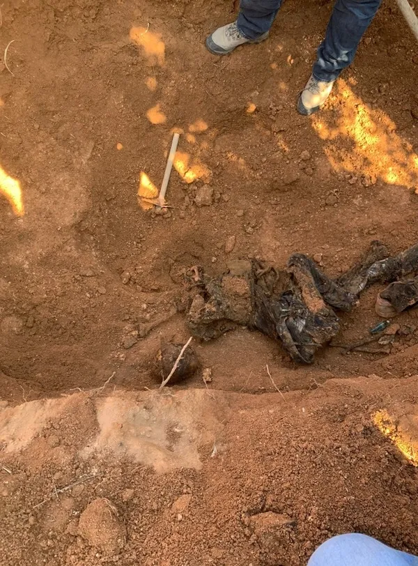 Saldırı hazırlığındayken yakalanan PKK’lı terörist örgüt içi infazı itiraf etti: Dediğimi yapmadı öldürdüm