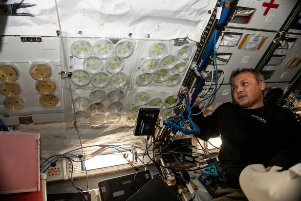 alper-gezeravci-donus-tarihi-ertelendi-mi-kac-gun-ilk-turk-astronot-alper-gezeravci-hangi-tarihte-gelecek-nere-1707027546929.jpg Alper Gezeravcı dönüş tarihi ertelendi mi, kaç gün? İlk Türk astronot Alper Gezeravcı hangi tarihte gelecek, nereye inecek? - 4
