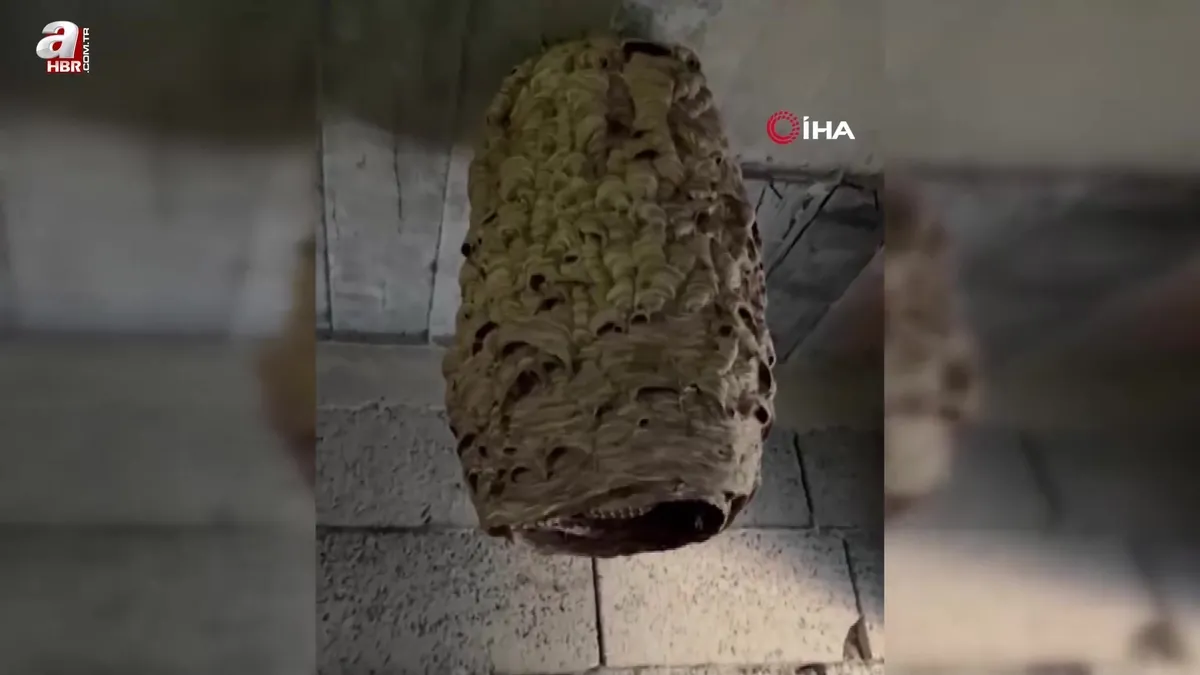 Depodan çıkan dev arı kovanı görenleri şaşırttı