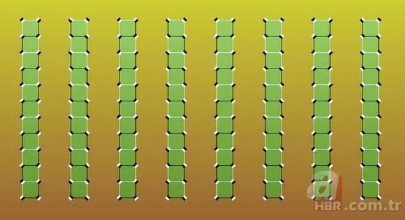 Gözlerinizin sizi yanıltmasına hazır mısınız? 8