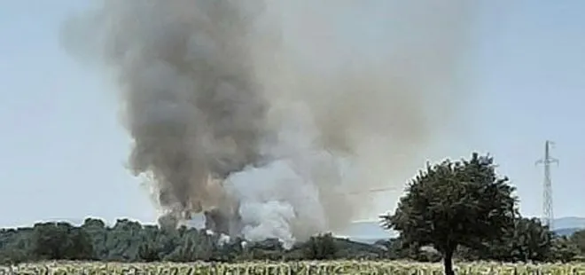 Son dakika: Çanakkale’de korkutan orman yangını