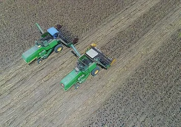 Hükümetten kırsal kalkınma için dev reform