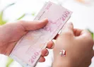 Fındık destekleme ne zaman ödenecek 2022? İşte ödeme takvimi...