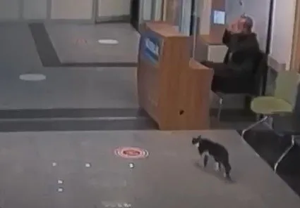 bitliste-ayagi-kirilan-kedi-sekerek-acil-servisin-yolunu-tuttu-iste-sosyal-medyanin-konustugu-goruntu-1668690296502.jpg Bitlis’te ayağı kırılan kedi sekerek acil servisin yolunu tuttu! İşte sosyal medyanın konuştuğu görüntü - 1