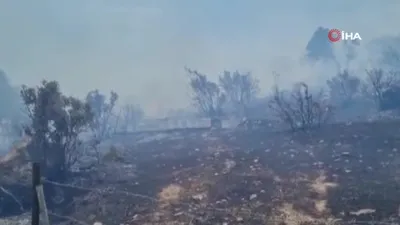 Bodrum’da makilik alanda yangın
