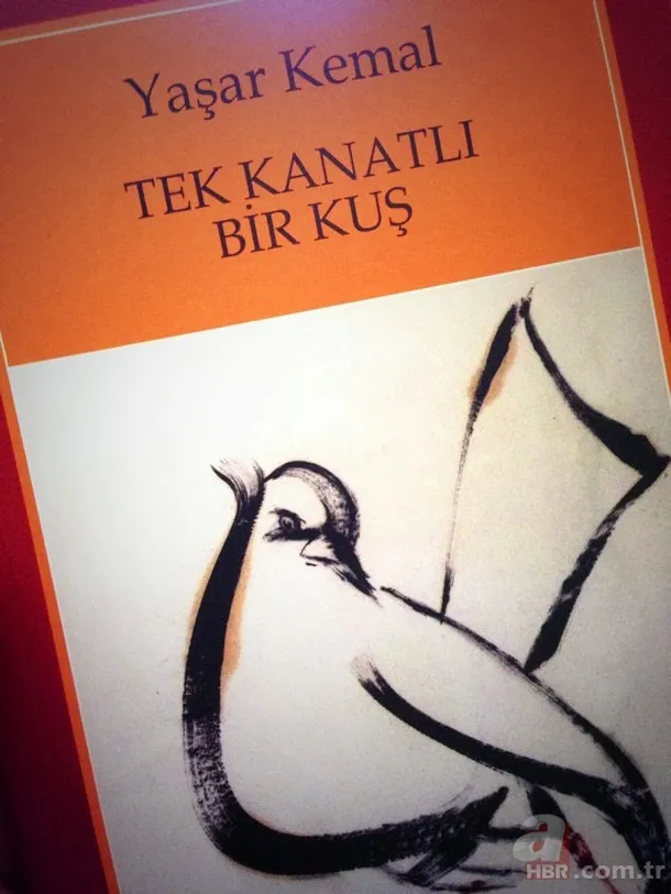 Olmazsa olmaz 10 Yaşar Kemal kitabı 10