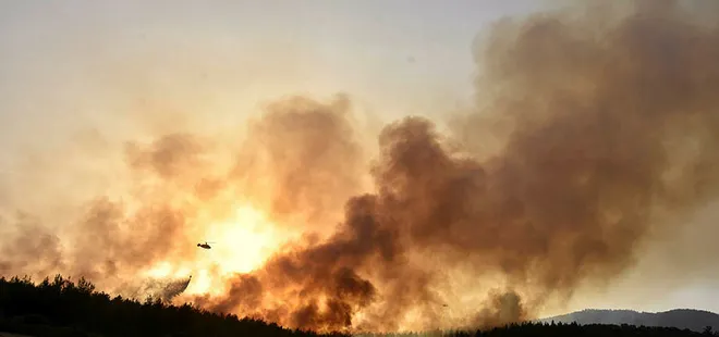 Milas’taki orman yangınında ’sabotaj’ şüphesi