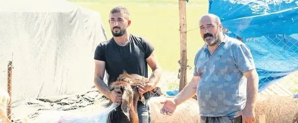 Bayram fırsatçılığına geçit yok! Ekipler karış karış denetimde! Ceza yağdı - 4