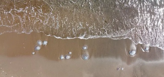 Mersin’de sahiller yeniden denizanası ile doldu