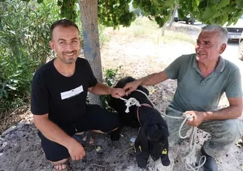 Firar eden kurbanlık 10 gün sonra yakalandı