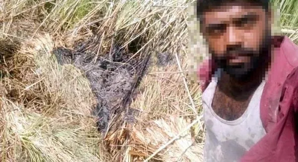 Son dakika: Ciğerlerimizi ateşe veren hainin görüntüsü ortaya çıktı! Yangın çıkarıp selfie yapmış