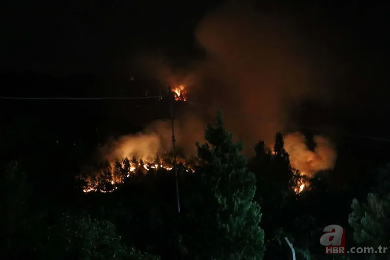 Denizli'de yangın faciası! Bölgedeki 50 ev boşaltıldı | 7 ilçede çıkan orman yangınlarından 6'sı kontrol altına alındı 17