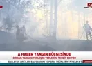 Bursada orman yangını A Haber olay yerinde...