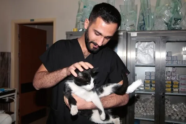bitliste-ayagi-kirilan-kedi-sekerek-acil-servisin-yolunu-tuttu-iste-sosyal-medyanin-konustugu-goruntu-1668690296979.jpg Bitlis’te ayağı kırılan kedi sekerek acil servisin yolunu tuttu! İşte sosyal medyanın konuştuğu görüntü - 8