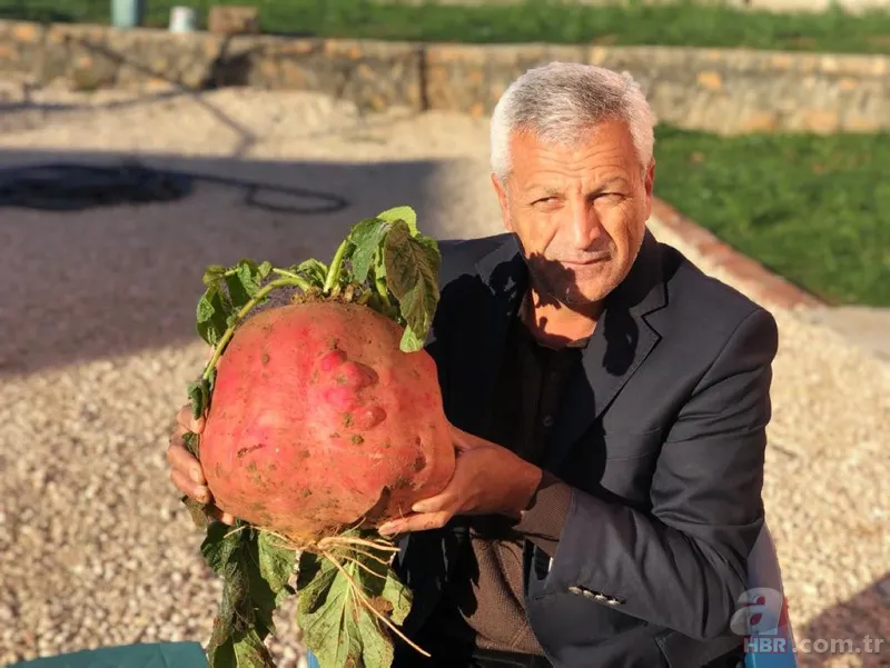 Büyüklüğü karşısında hayrete düştü! Tam 8 kilo... 5