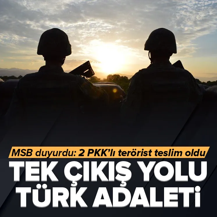 2 PKK’lı terörist teslim oldu